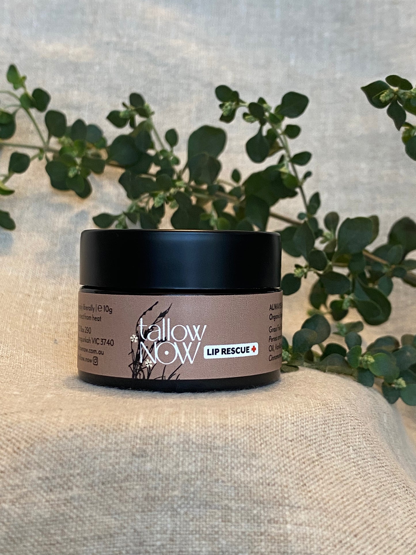 LIP RESCUE Tallow Lip Balm